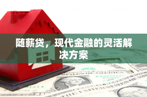 延平随薪贷，现代金融的灵活解决方案