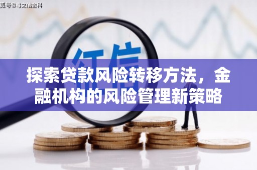 延平探索贷款风险转移方法，金融机构的风险管理新策略