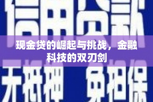 延平现金贷的崛起与挑战，金融科技的双刃剑