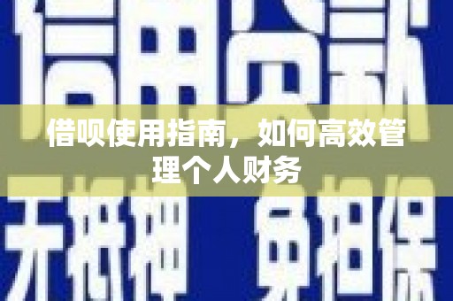 延平借呗使用指南，如何高效管理个人财务