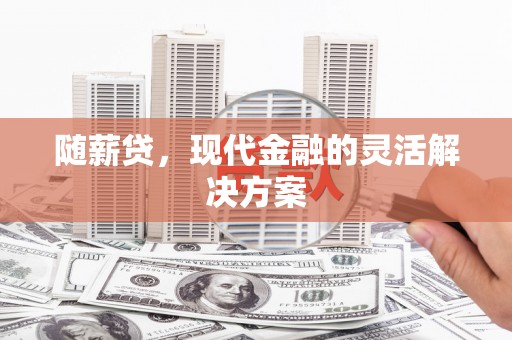 延平随薪贷，现代金融的灵活解决方案