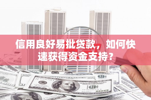 延平信用良好易批贷款，如何快速获得资金支持？
