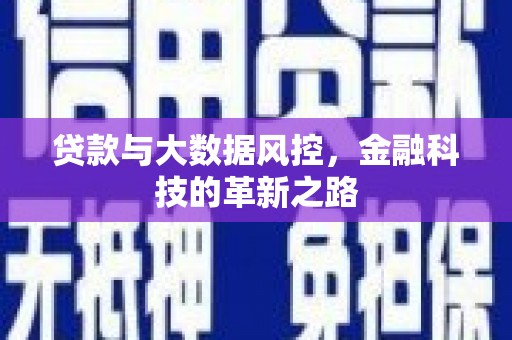 延平贷款与大数据风控，金融科技的革新之路