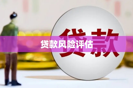 延平贷款风险评估