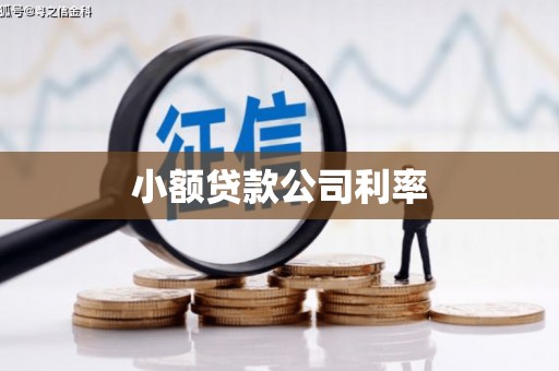 延平小额贷款公司利率