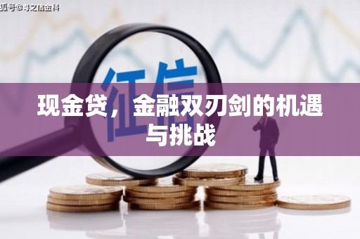 延平现金贷，金融双刃剑的机遇与挑战