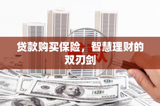 延平贷款购买保险，智慧理财的双刃剑