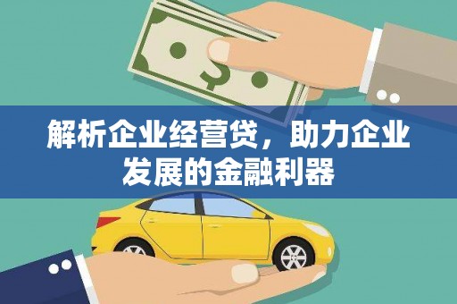 延平解析企业经营贷，助力企业发展的金融利器