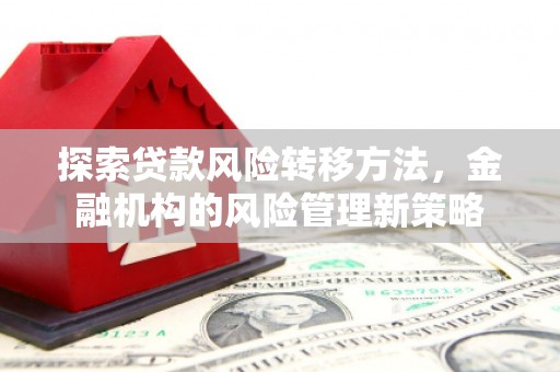 延平探索贷款风险转移方法，金融机构的风险管理新策略