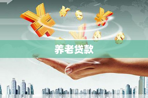 延平养老贷款
