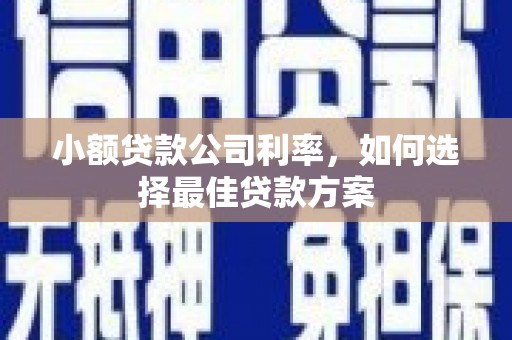 延平小额贷款公司利率，如何选择最佳贷款方案