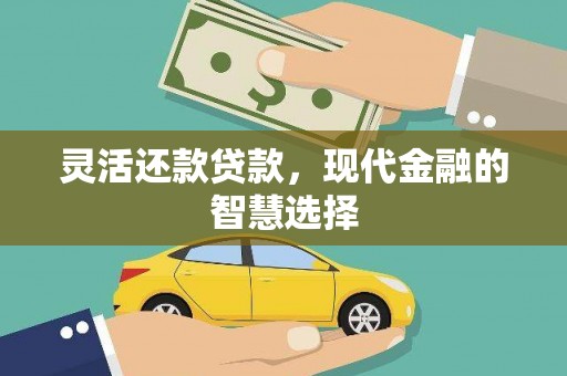 延平灵活还款贷款，现代金融的智慧选择