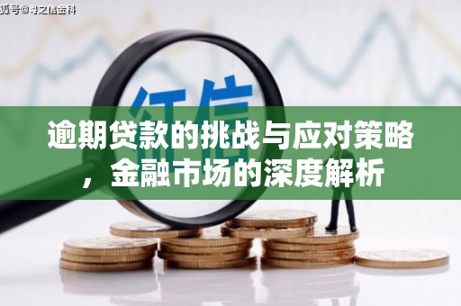 延平逾期贷款的挑战与应对策略，金融市场的深度解析