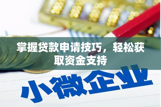 延平掌握贷款申请技巧，轻松获取资金支持