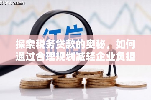 延平探索税务贷款的奥秘，如何通过合理规划减轻企业负担