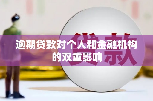 延平逾期贷款对个人和金融机构的双重影响