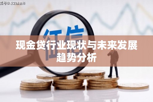 延平现金贷行业现状与未来发展趋势分析