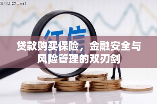 延平贷款购买保险，金融安全与风险管理的双刃剑