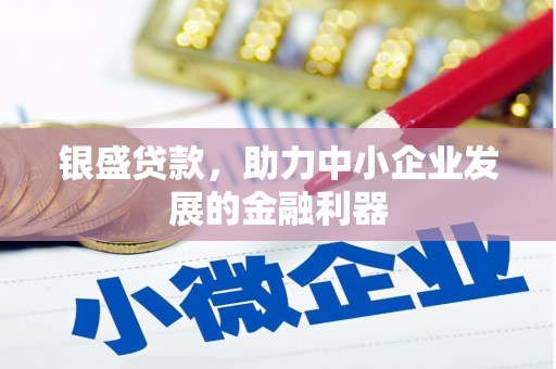 延平银盛贷款，助力中小企业发展的金融利器