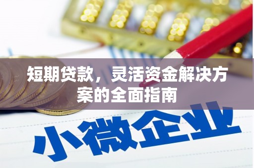 延平短期贷款，灵活资金解决方案的全面指南