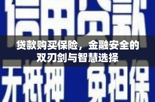 延平贷款购买保险，金融安全的双刃剑与智慧选择
