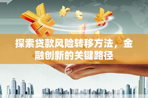 延平探索贷款风险转移方法，金融创新的关键路径