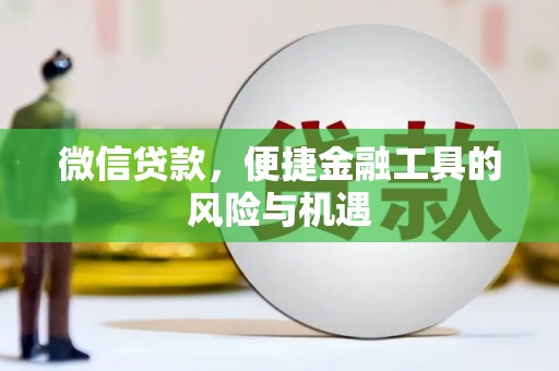 延平微信贷款，便捷金融工具的风险与机遇