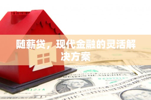 延平随薪贷，现代金融的灵活解决方案