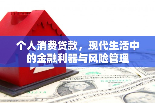 延平个人消费贷款，现代生活中的金融利器与风险管理