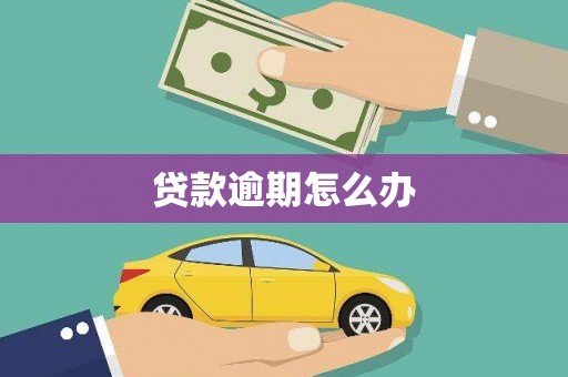 延平贷款逾期怎么办