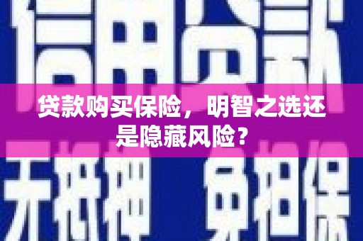 延平贷款购买保险，明智之选还是隐藏风险？