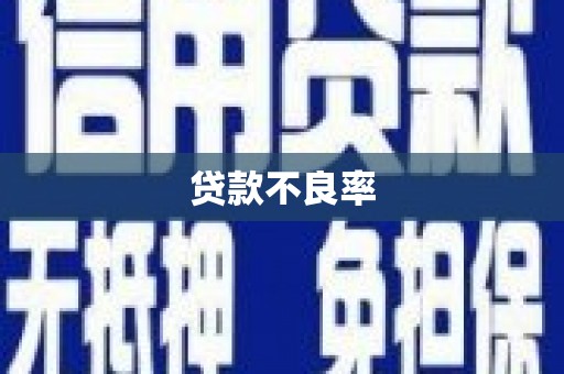 延平贷款不良率