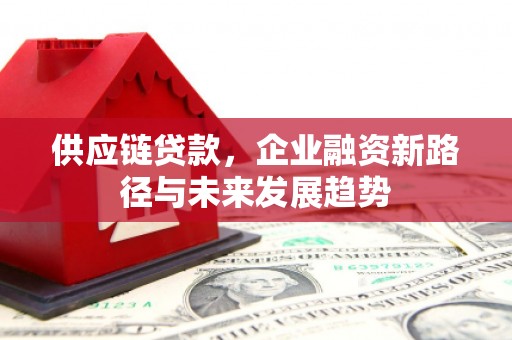延平供应链贷款，企业融资新路径与未来发展趋势