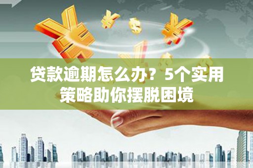 延平贷款逾期怎么办？5个实用策略助你摆脱困境