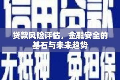 延平贷款风险评估，金融安全的基石与未来趋势