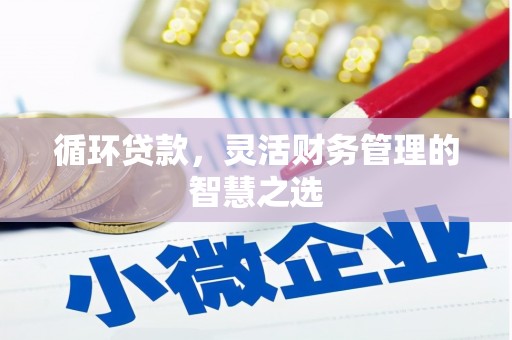 延平循环贷款，灵活财务管理的智慧之选