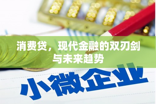 延平消费贷，现代金融的双刃剑与未来趋势