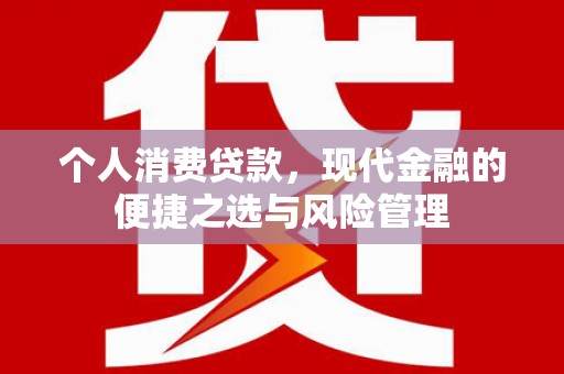 延平个人消费贷款，现代金融的便捷之选与风险管理