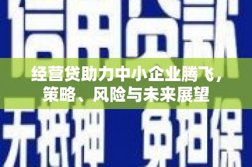 延平经营贷助力中小企业腾飞，策略、风险与未来展望