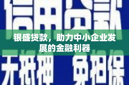延平银盛贷款，助力中小企业发展的金融利器