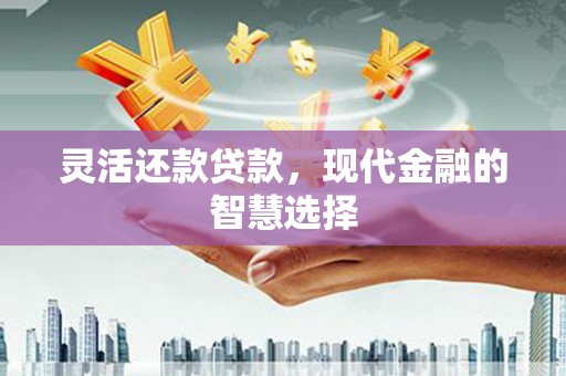 延平灵活还款贷款，现代金融的智慧选择