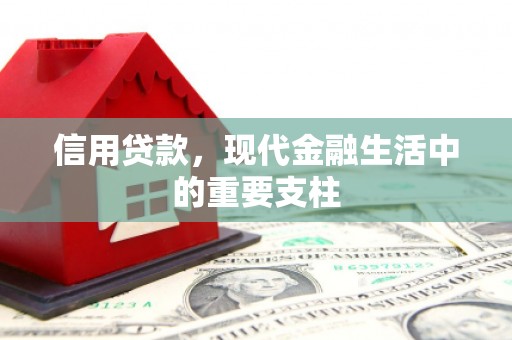 延平信用贷款，现代金融生活中的重要支柱