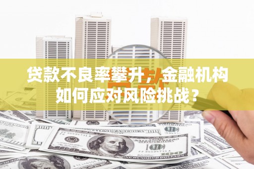 延平贷款不良率攀升，金融机构如何应对风险挑战？