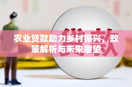 延平农业贷款助力乡村振兴，政策解析与未来展望