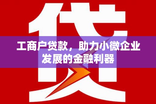 延平工商户贷款，助力小微企业发展的金融利器