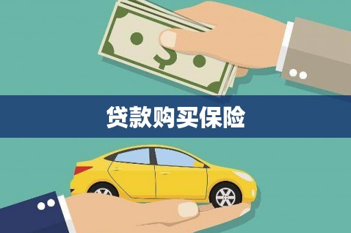 延平贷款购买保险