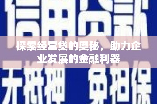 延平探索经营贷的奥秘，助力企业发展的金融利器