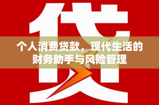 延平个人消费贷款，现代生活的财务助手与风险管理