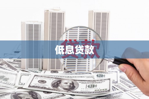 延平低息贷款