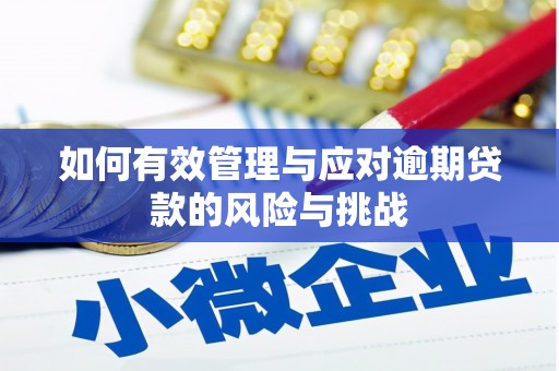 延平如何有效管理与应对逾期贷款的风险与挑战